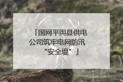 国网平舆县供电公司筑牢电网防汛“安全堤”