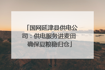 国网延津县供电公司：供电服务进麦田 确保夏粮稳归仓