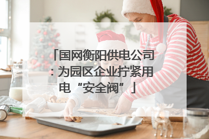 国网衡阳供电公司：为园区企业拧紧用电“安全阀”