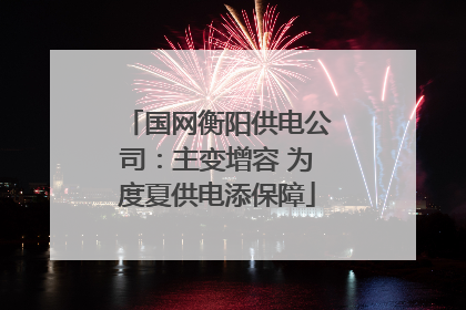 国网衡阳供电公司：主变增容 为度夏供电添保障