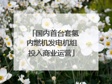 国内首台套氢内燃机发电机组投入商业运营