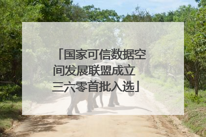 国家可信数据空间发展联盟成立 三六零首批入选