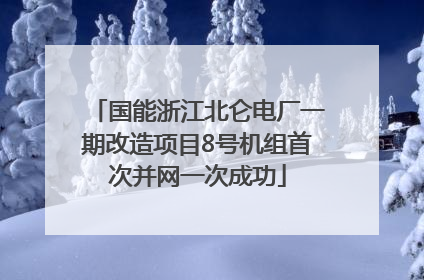 国能浙江北仑电厂一期改造项目8号机组首次并网一次成功