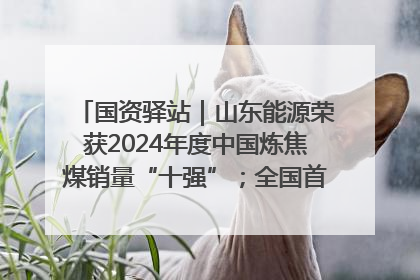 国资驿站｜山东能源荣获2024年度中国炼焦煤销量“十强”；全国首例铁路盖上智慧物流园钢结构主体完工