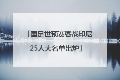 国足世预赛客战印尼25人大名单出炉