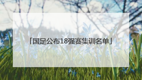 国足公布18强赛集训名单
