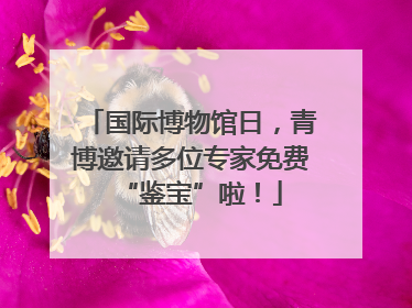 国际博物馆日，青博邀请多位专家免费“鉴宝”啦！