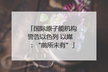 国际原子能机构警告以色列 以媒：“前所未有”