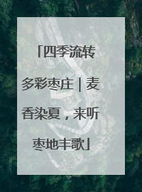 四季流转 多彩枣庄｜麦香染夏，来听枣地丰歌