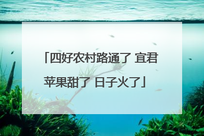 四好农村路通了 宜君苹果甜了 日子火了