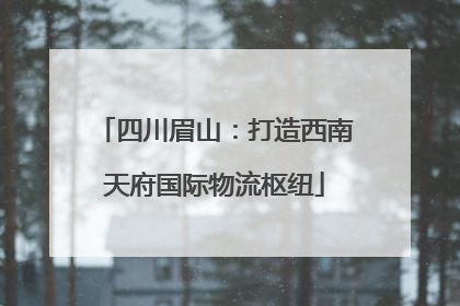 四川眉山：打造西南天府国际物流枢纽