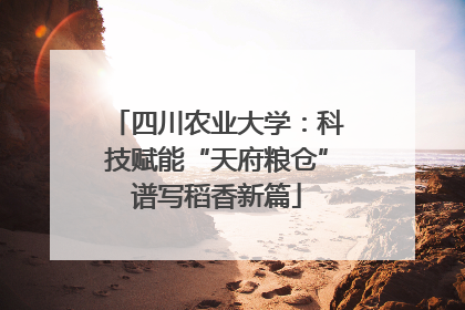 四川农业大学：科技赋能“天府粮仓”谱写稻香新篇