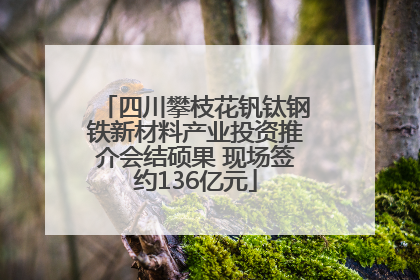 四川攀枝花钒钛钢铁新材料产业投资推介会结硕果 现场签约136亿元