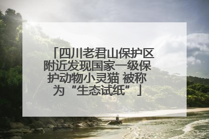 四川老君山保护区附近发现国家一级保护动物小灵猫 被称为“生态试纸”