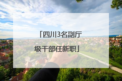 四川3名副厅级干部任新职