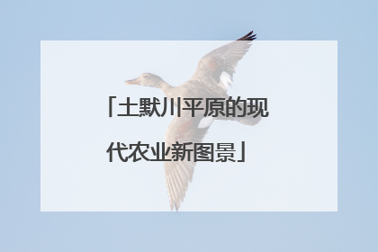 土默川平原的现代农业新图景