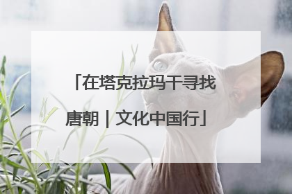 在塔克拉玛干寻找唐朝｜文化中国行