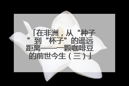 在非洲，从“种子”到“杯子”的遥远距离——一颗咖啡豆的前世今生（三）