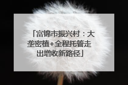 富锦市振兴村：大垄密植+全程托管走出增收新路径