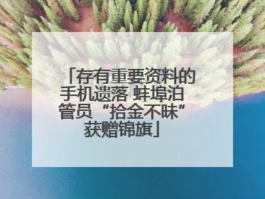 存有重要资料的手机遗落 蚌埠泊管员“拾金不昧”获赠锦旗