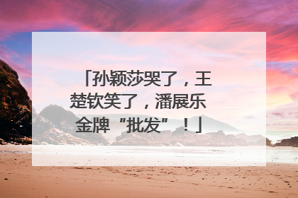 孙颖莎哭了，王楚钦笑了，潘展乐金牌“批发”！