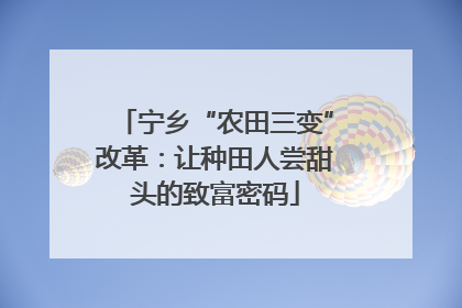 宁乡“农田三变”改革：让种田人尝甜头的致富密码