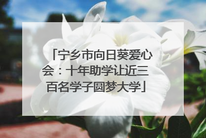 宁乡市向日葵爱心会：十年助学让近三百名学子圆梦大学