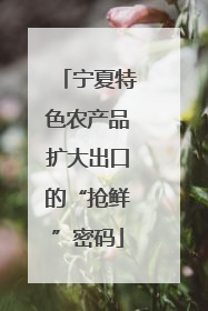 宁夏特色农产品扩大出口的“抢鲜”密码