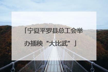 宁夏平罗县总工会举办插秧“大比武”