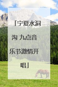 宁夏水洞沟 九点音乐节激情开唱