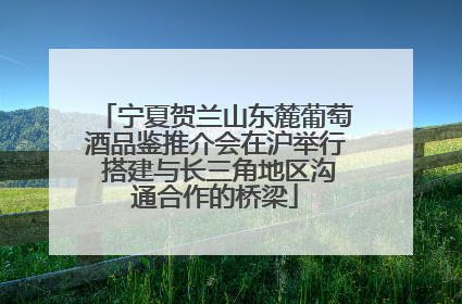 宁夏贺兰山东麓葡萄酒品鉴推介会在沪举行 搭建与长三角地区沟通合作的桥梁