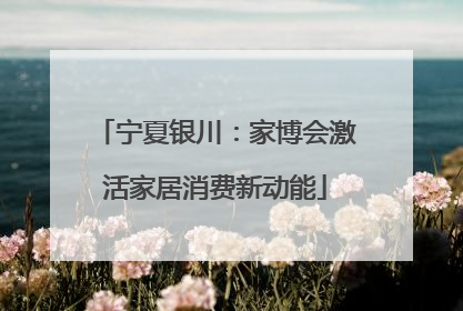 宁夏银川：家博会激活家居消费新动能