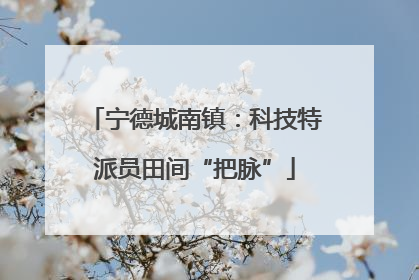 宁德城南镇：科技特派员田间“把脉”