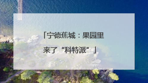 宁德蕉城：果园里来了“科特派”