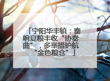 宁阳华丰镇：奏响夏粮丰收“协奏曲”，多举措护航“金色粮仓”
