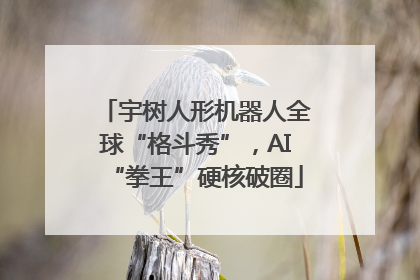 宇树人形机器人全球“格斗秀”，AI“拳王”硬核破圈