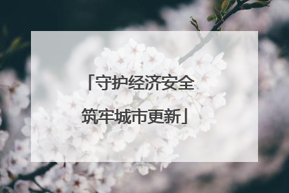 守护经济安全 筑牢城市更新
