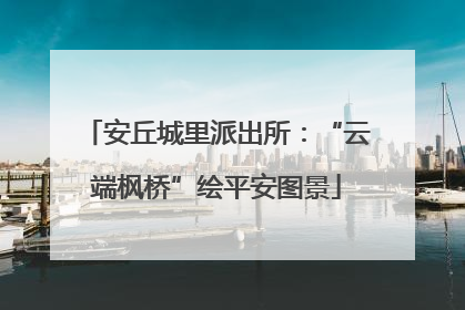安丘城里派出所：“云端枫桥”绘平安图景