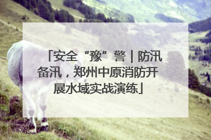 安全“豫”警｜防汛备汛，郑州中原消防开展水域实战演练