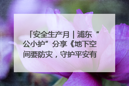 安全生产月｜浦东“公小护”分享《地下空间要防灾，守护平安有我在》安全谣