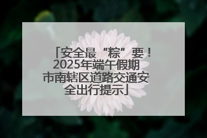 安全最“粽”要！2025年端午假期市南辖区道路交通安全出行提示