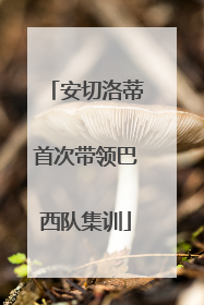 安切洛蒂首次带领巴西队集训