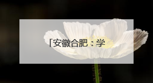 安徽合肥：学子救助昏迷路人获赠锦旗