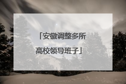 安徽调整多所高校领导班子