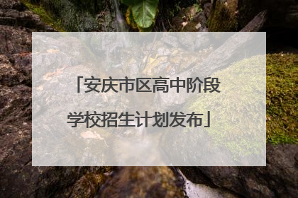 安庆市区高中阶段学校招生计划发布