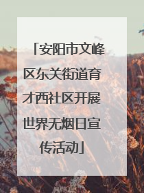 安阳市文峰区东关街道育才西社区开展世界无烟日宣传活动