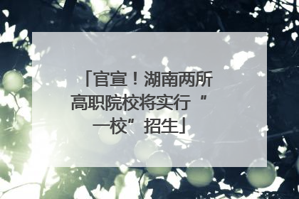 官宣！湖南两所高职院校将实行“一校”招生