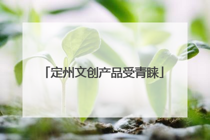 定州文创产品受青睐