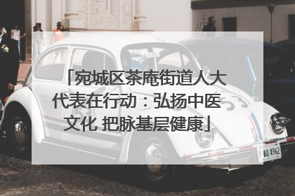 宛城区茶庵街道人大代表在行动：弘扬中医文化 把脉基层健康