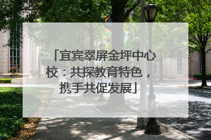 宜宾翠屏金坪中心校：共探教育特色，携手共促发展